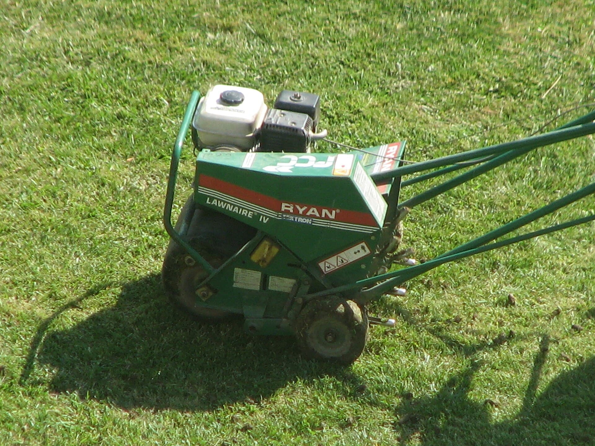 A homeowner's lawn covered with small aeration plugs during fall lawn care season in the Tri-Cities